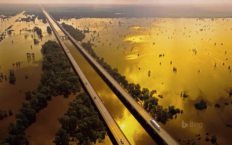 Atchafalaya Basin, Louisiana