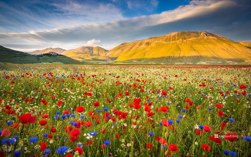 Castelluccio, Umbria, Italy