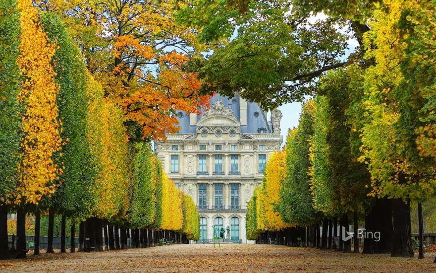 Jardin des Tuileries in autumn, leading to the Louvre Museum in Paris, France