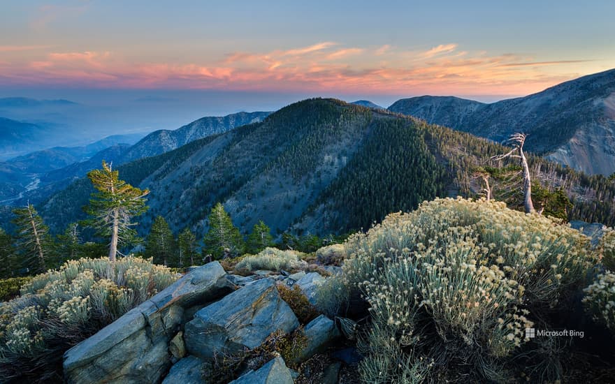 Summit of Pine Mountain, Angeles National Forest, California