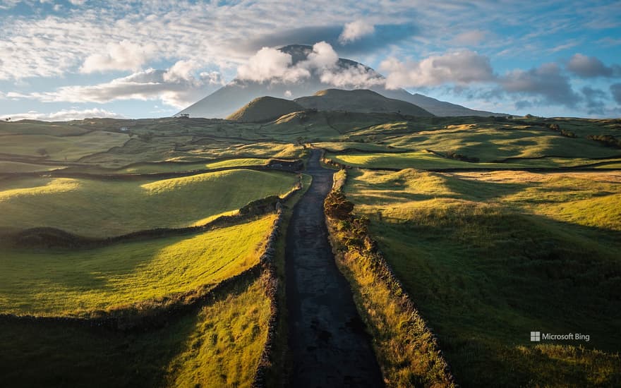 Road to Mount Pico, Portugal