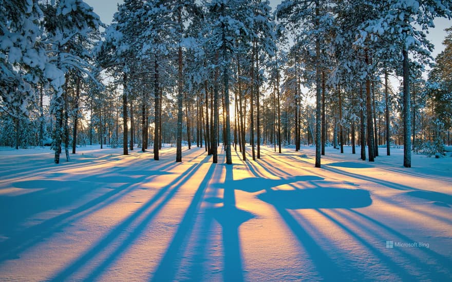 Western Siberia, near Raduzhny, Russia