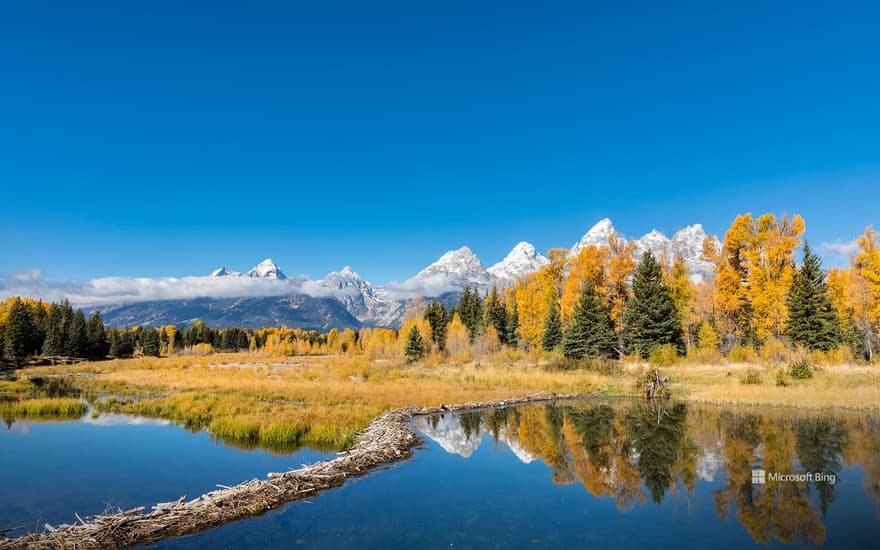 Grand Teton National Park, Wyoming, USA