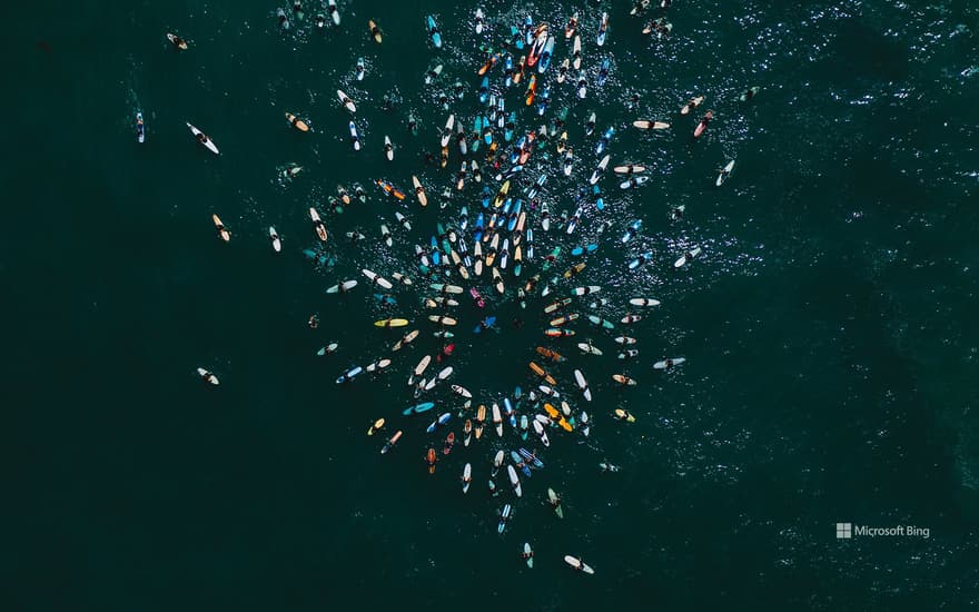 'Paddle Out for Unity' event in San Diego, California