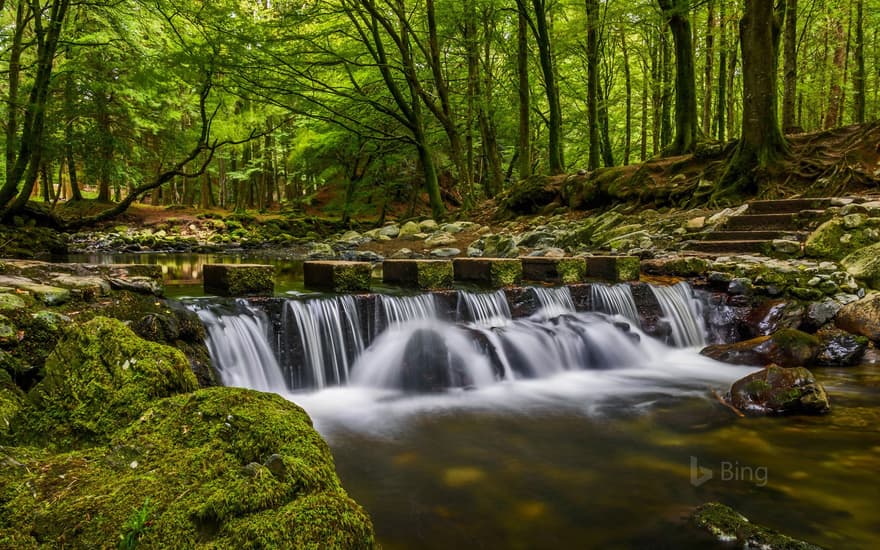 Stepping stones in Tollymore Forest Park, County Down, Northern Ireland