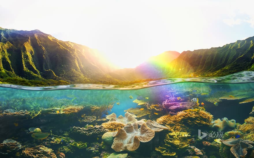 Tropical coral reefs under cliffs in Hawaii, USA