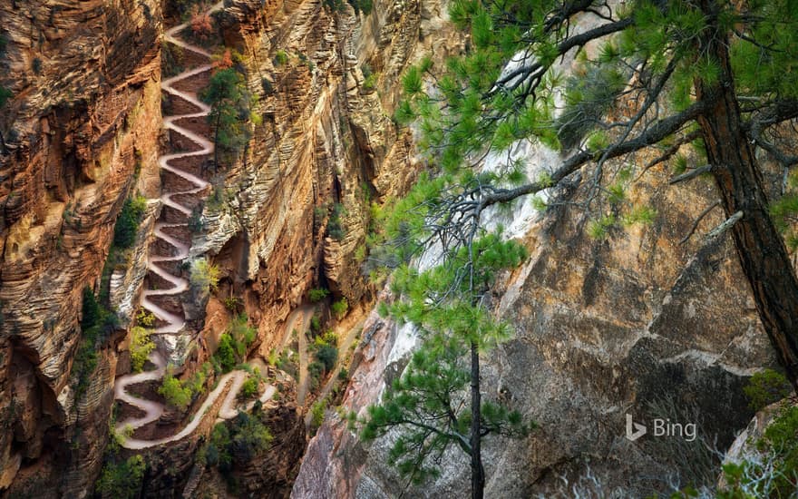 Walter's Wiggles on the Angels Landing Trail in Zion National Park, Utah