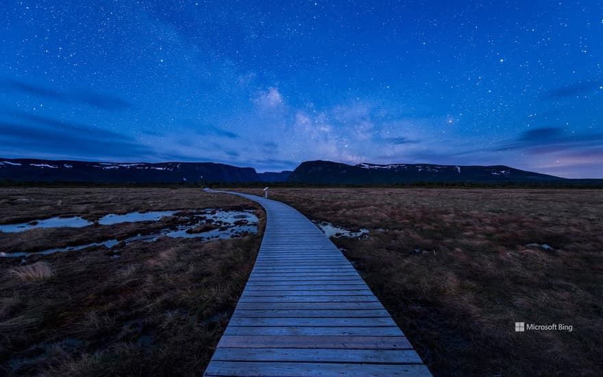 Boardwalk on hiking trail to Western Brook Pond in Gros Morne National Park